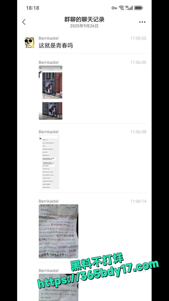 四川武侯高级中学学生 18