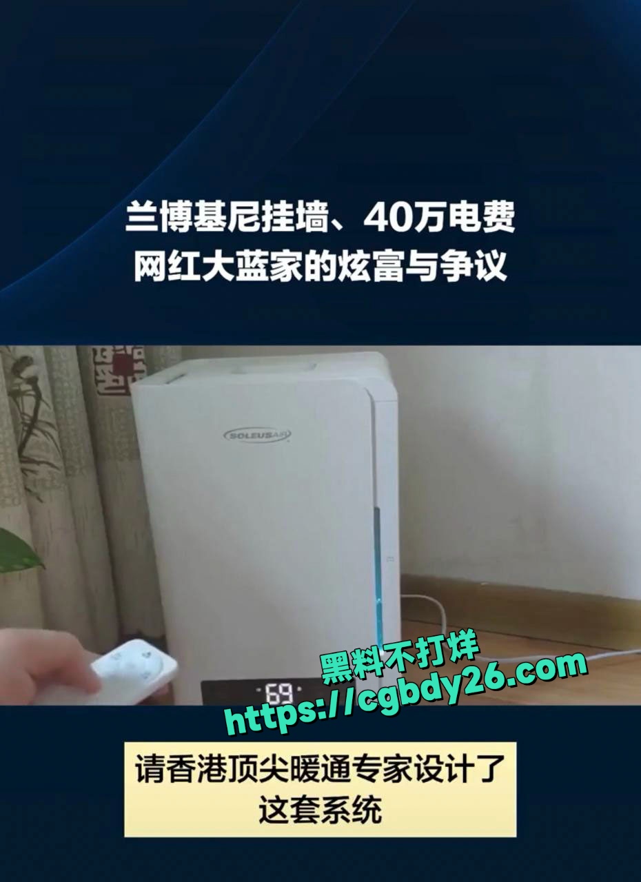 大蓝老婆网上炫富家里一年电费40多万被网友举报封号4