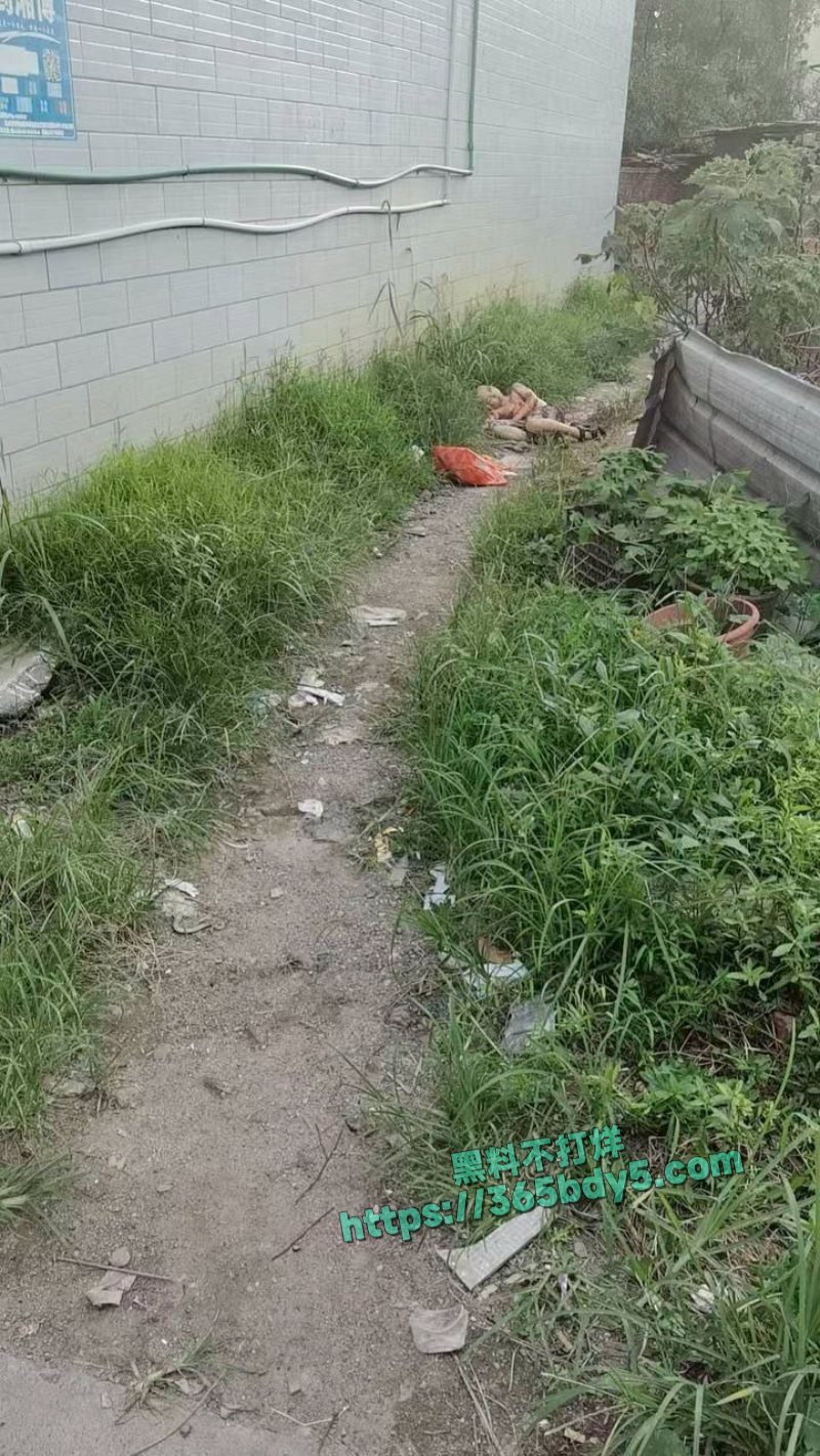 湖南衡阳耒阳突发持刀砍人事件31岁男子持刀报复社会专杀小孩12
