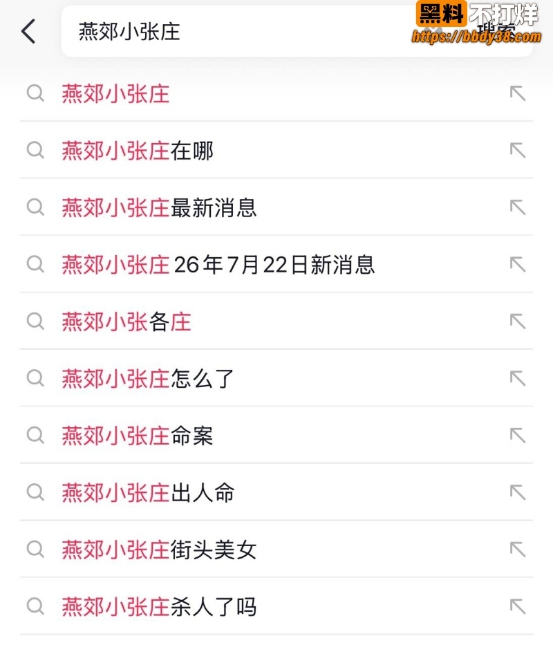 河北燕郊小张庄突发杀人案11