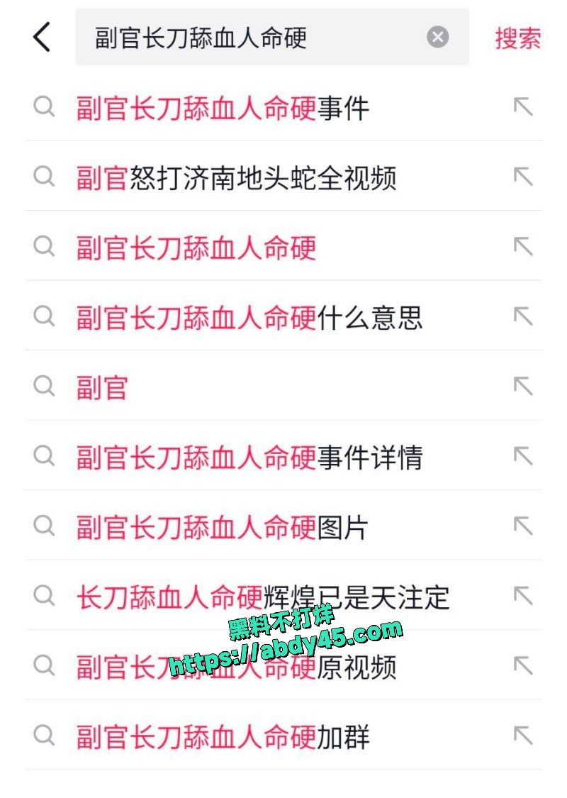 副官济南地头蛇打架事件 5