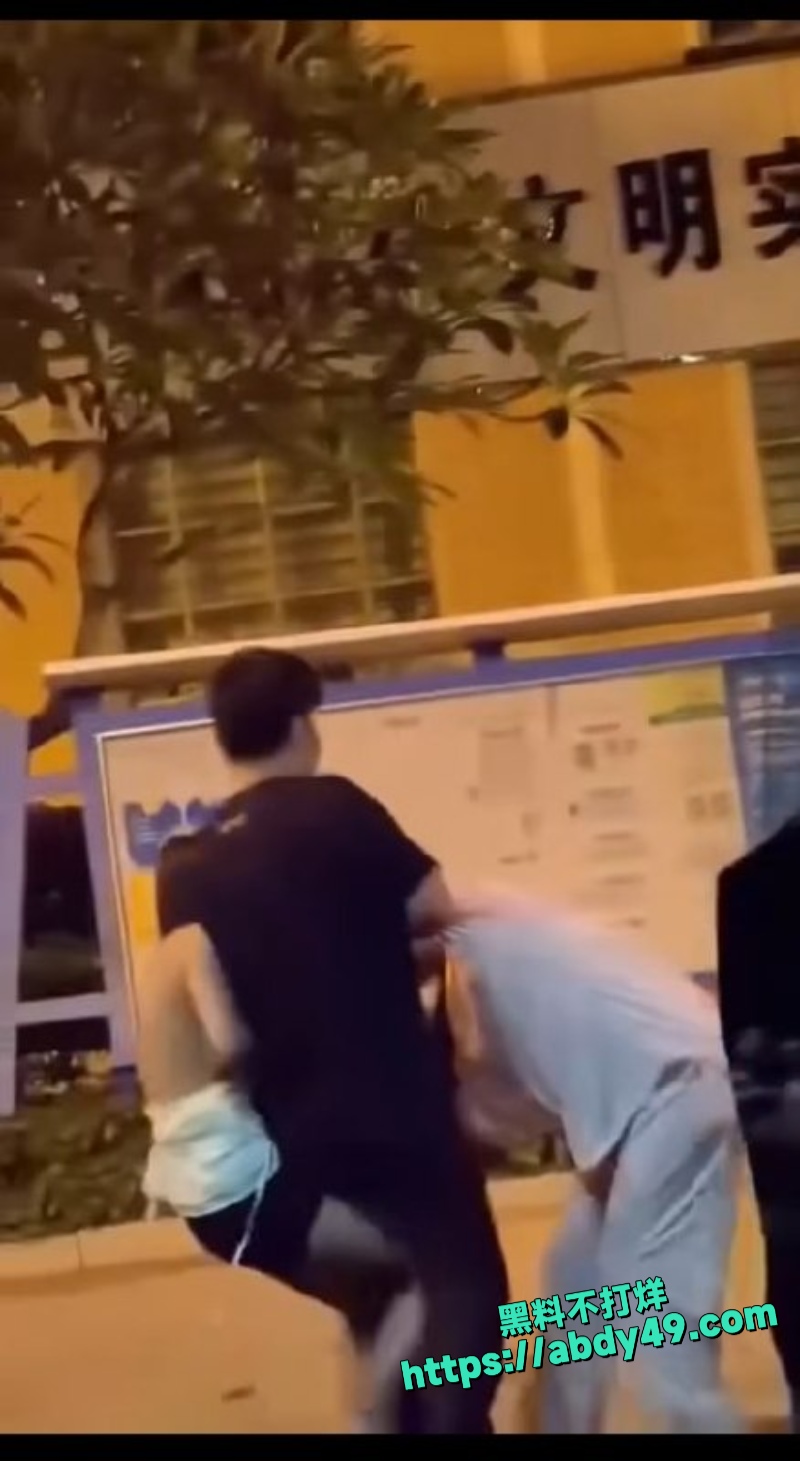 高颜值反差女 东莞街头抓奸打架2