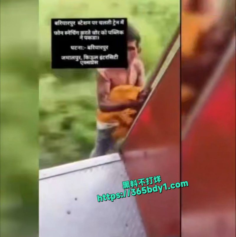 小偷在行驶中的火车上偷手机后跳下去的视频走红4