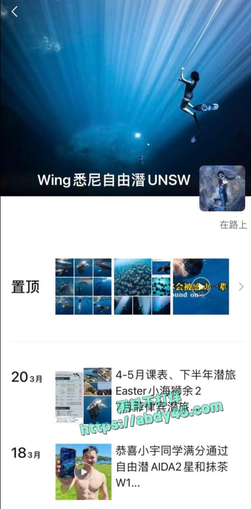 悉尼自由潜教练WingLee 2