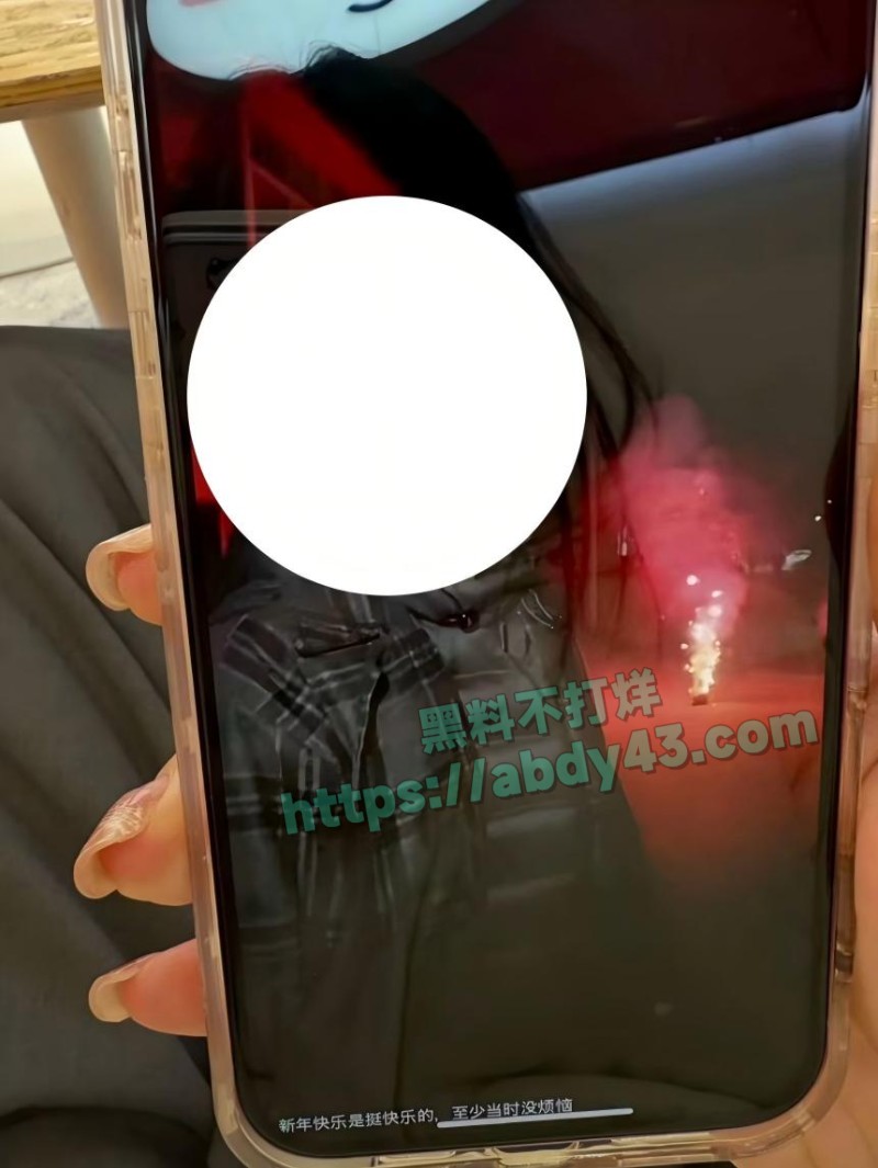 奶爸网红月野兔小樱3