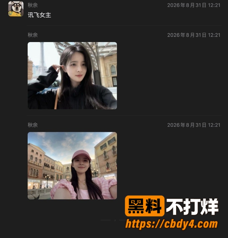科大讯飞公关副总韩煜尘 15