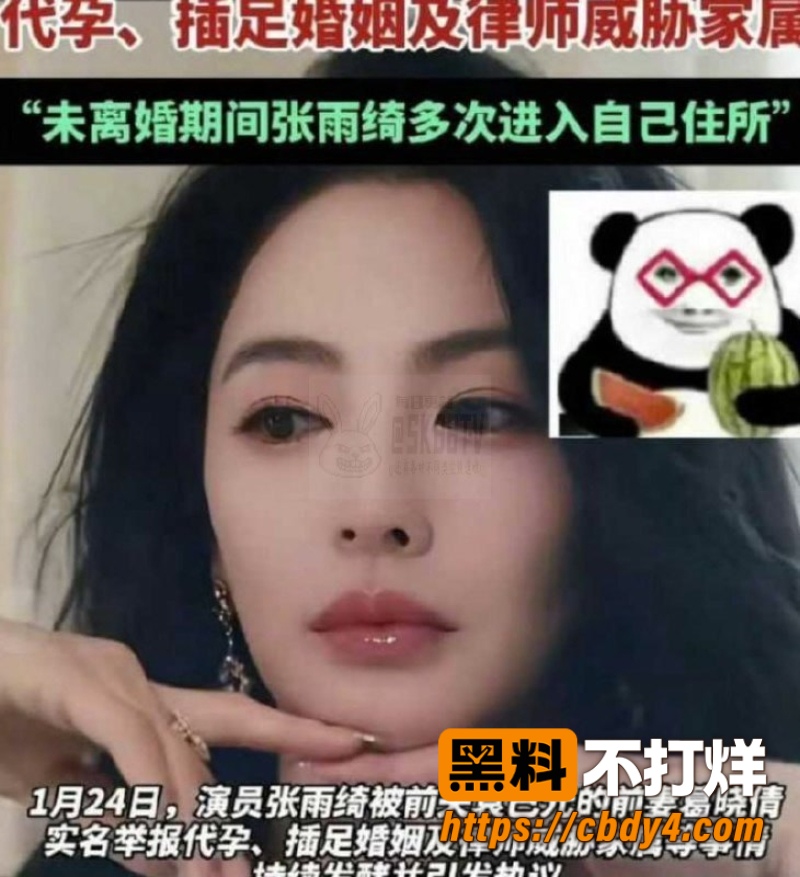 张雨绮代孕黑料 27