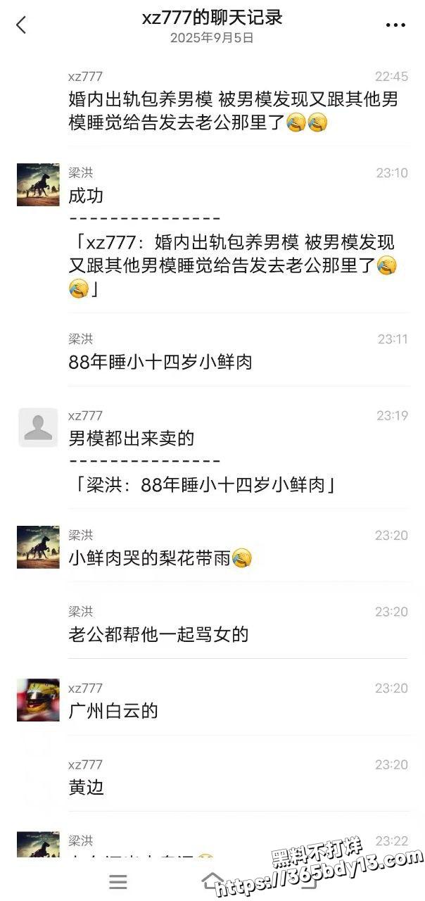 婚内出轨包养男模2
