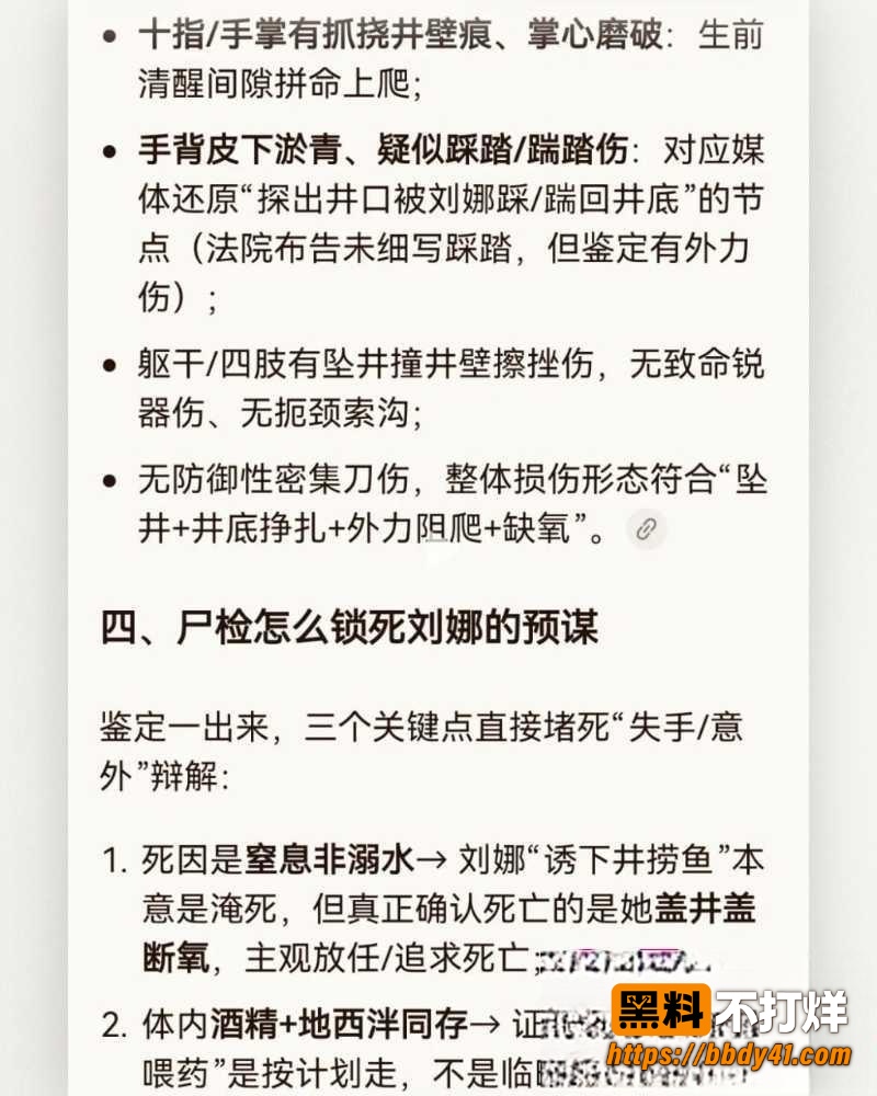 刘娜杀夫11