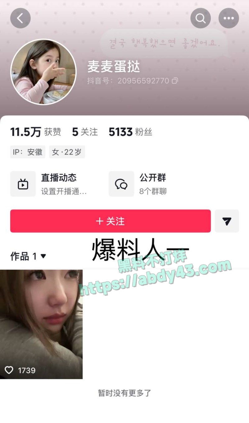 奶爸网红月野兔小樱22