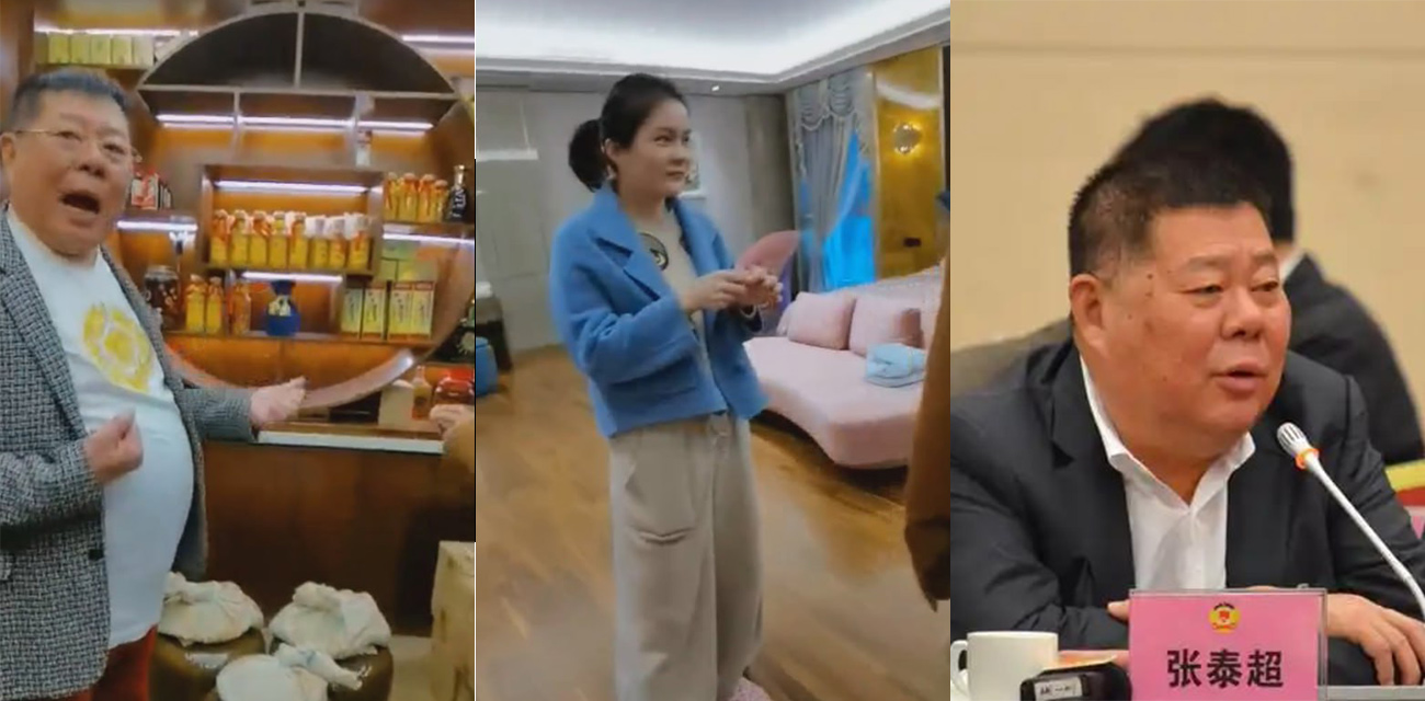 海南省政协常委张泰超大曝光！ 拥有5个美艳老婆20多套顶级豪宅 一个马桶就值20万