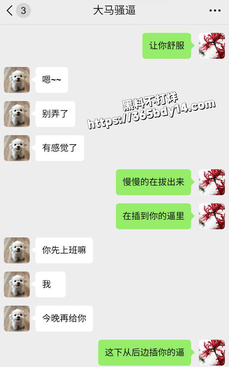 网调马来西亚小妞6