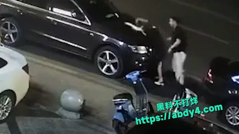 野鸳鸯精虫上脑 路边车旁激情啪啪  9
