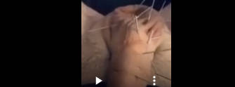 鸡灸SPA自己给鸡鸡做热疗 密密麻麻燃烧点看着就刺激 密集恐惧症慎入