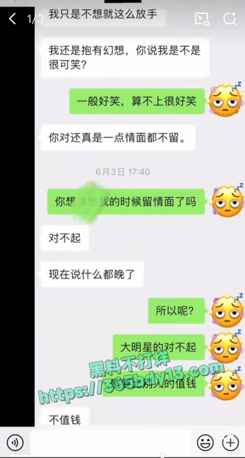 女网友与魏大勋聊天记录14