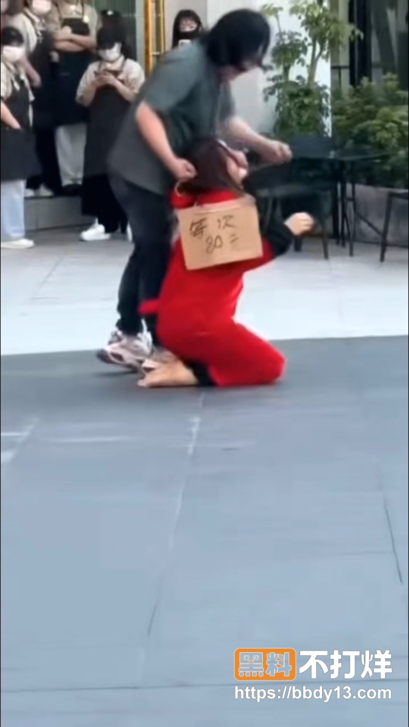 主人的任务   2
