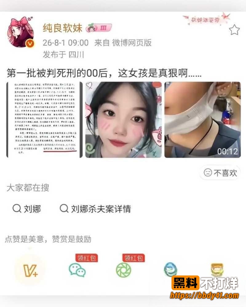 刘娜杀夫13