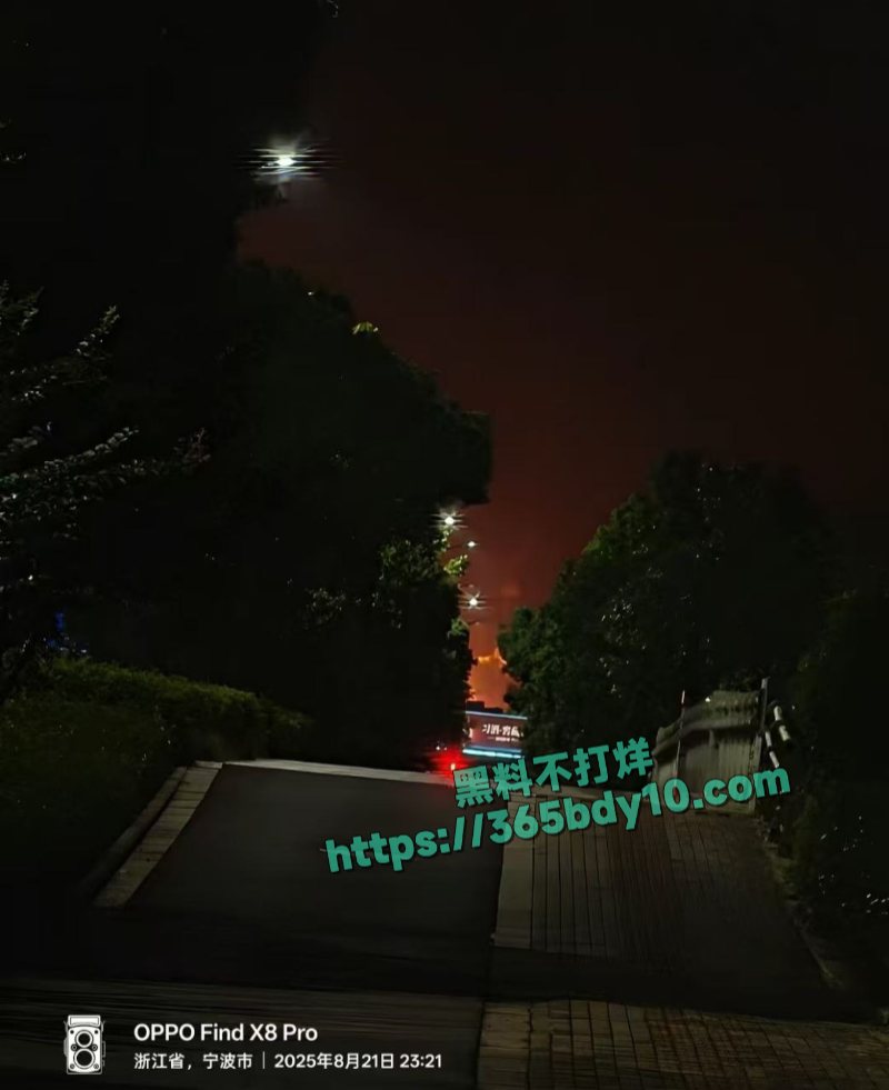 宁波五乡一厂突发火灾7