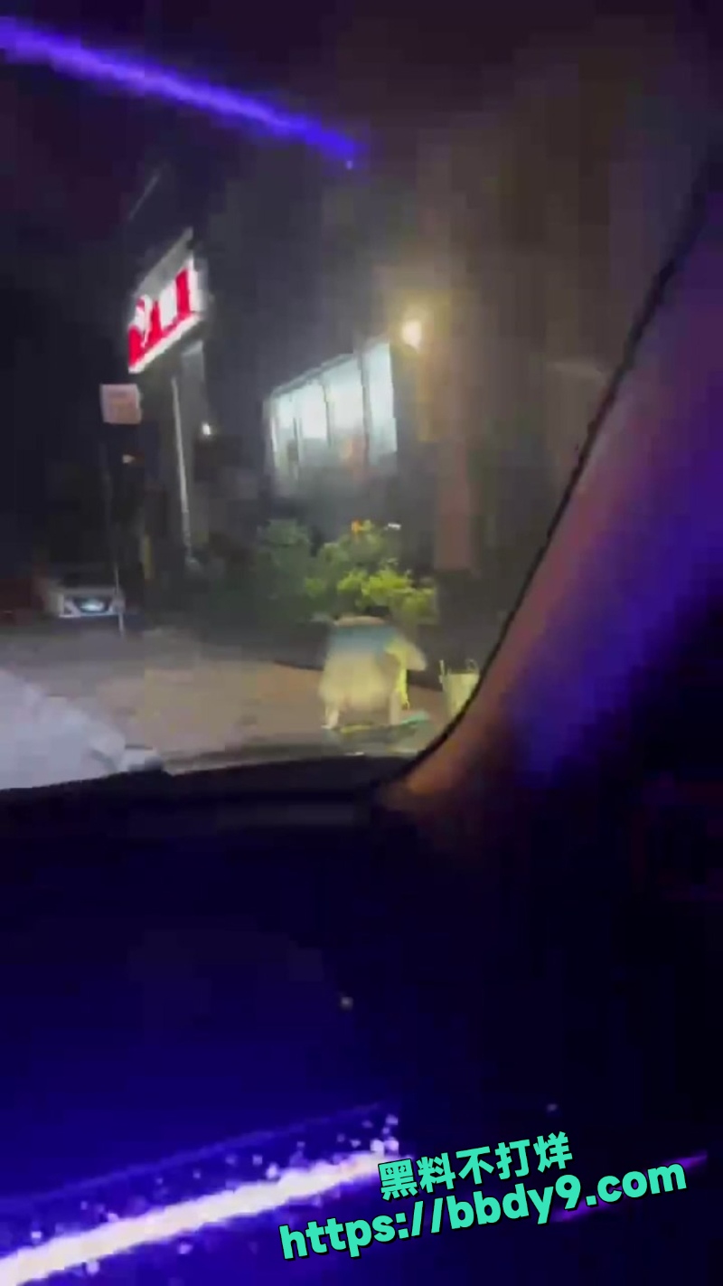 主人的任务 4