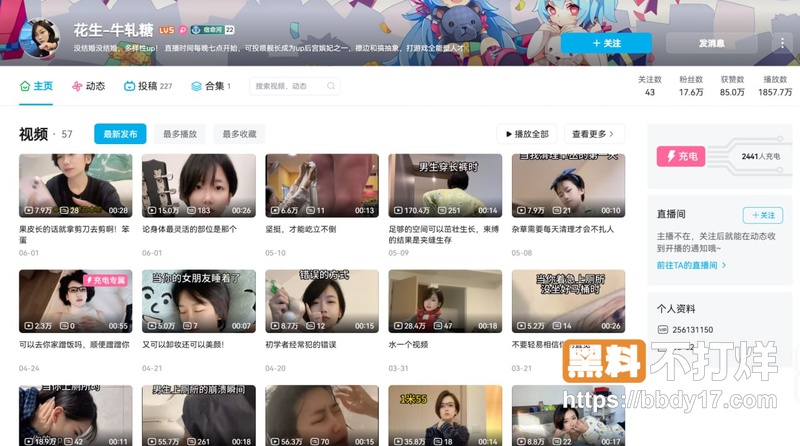 B站21万粉网红花生牛轧糖10