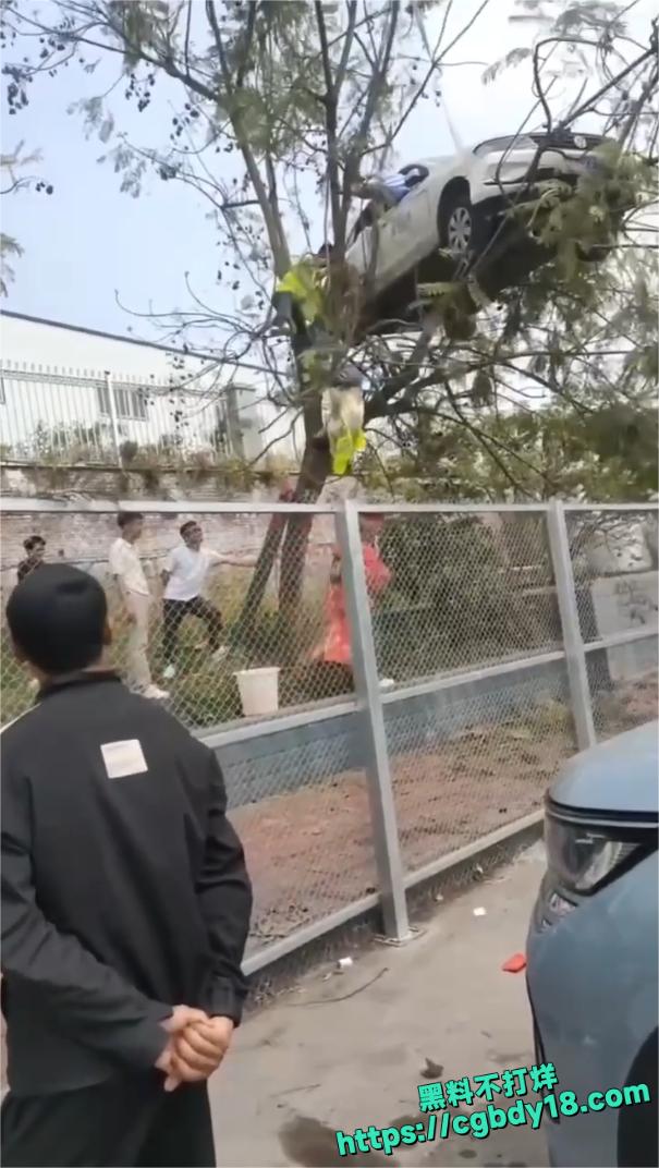 宜宾长宁飞车 上树4