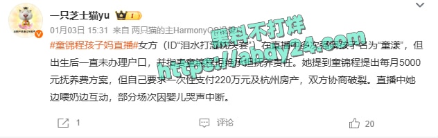抖音网红童锦程私生子事件反转 6