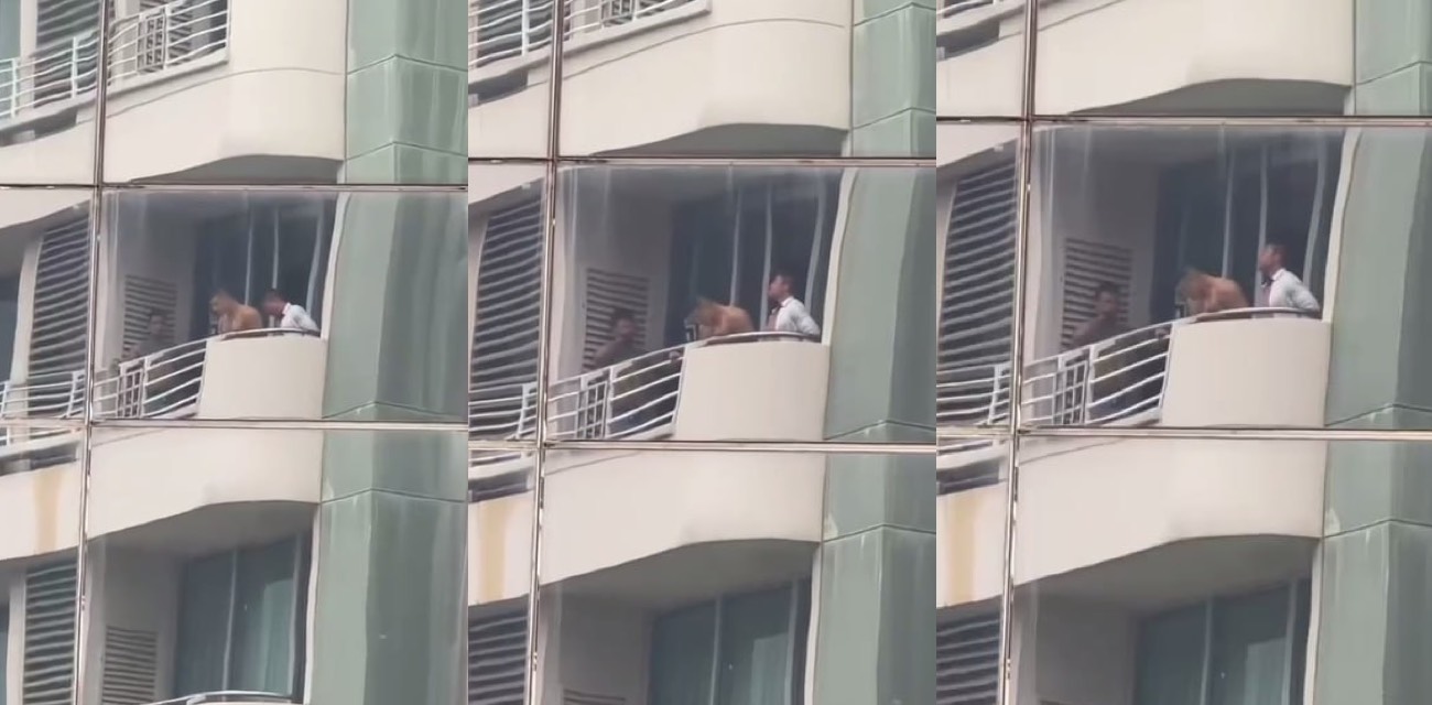 黑皮健身教练阳台后入激情做爱 完成主人的任务 旁边还有一个排队挨操