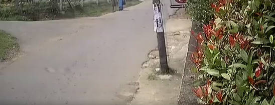 印度街头电线突然断裂直击黄衣女子头部 当场倒地不起 现场惨烈监控实拍