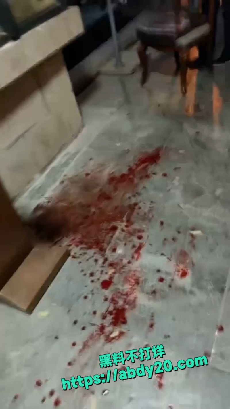 9号楼突发砍人事件 7