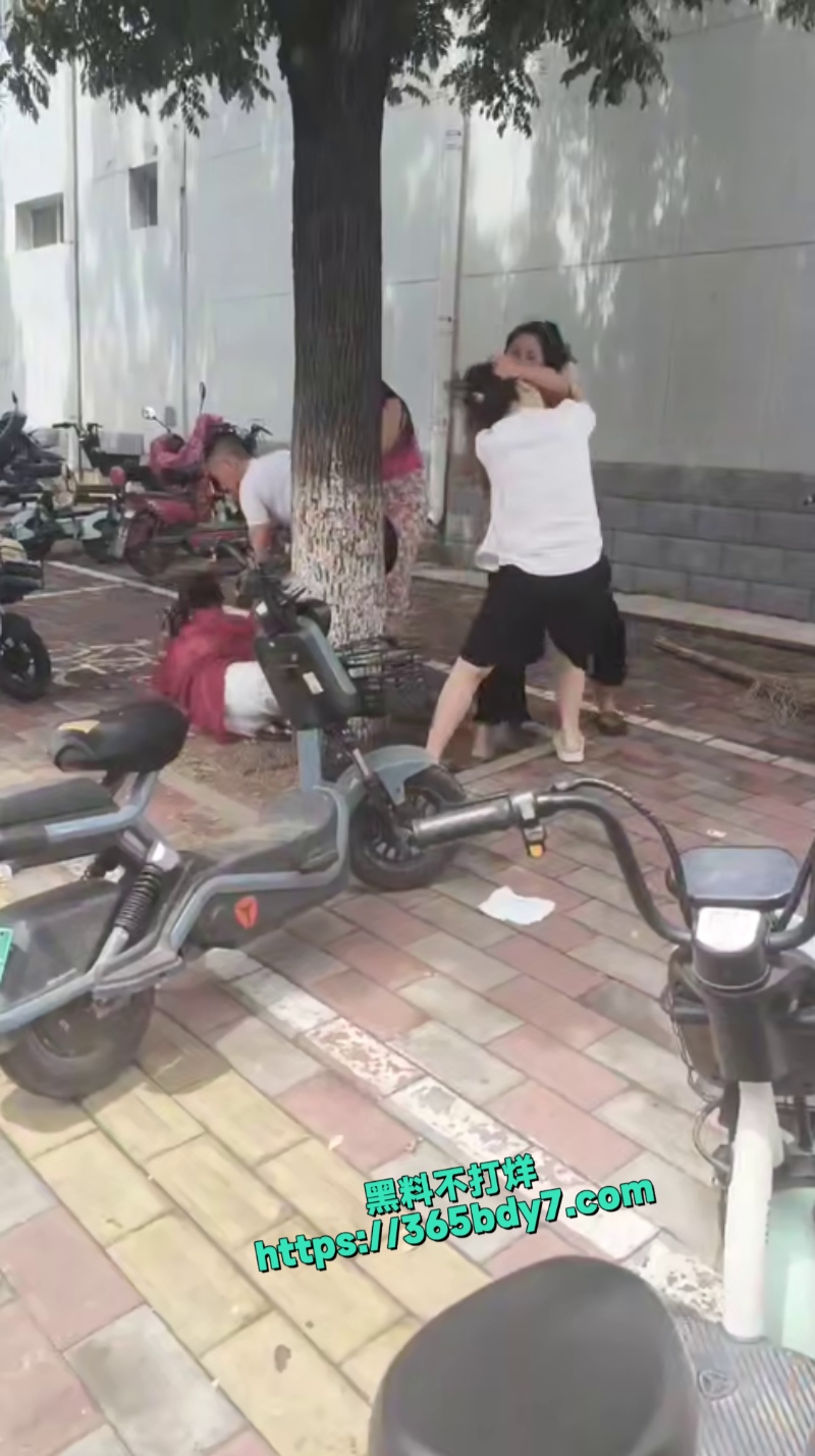 男的出轨原配打小三6