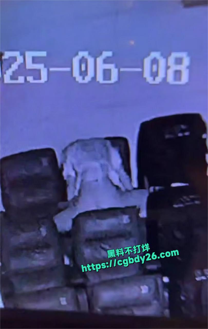 看电影的大哥5