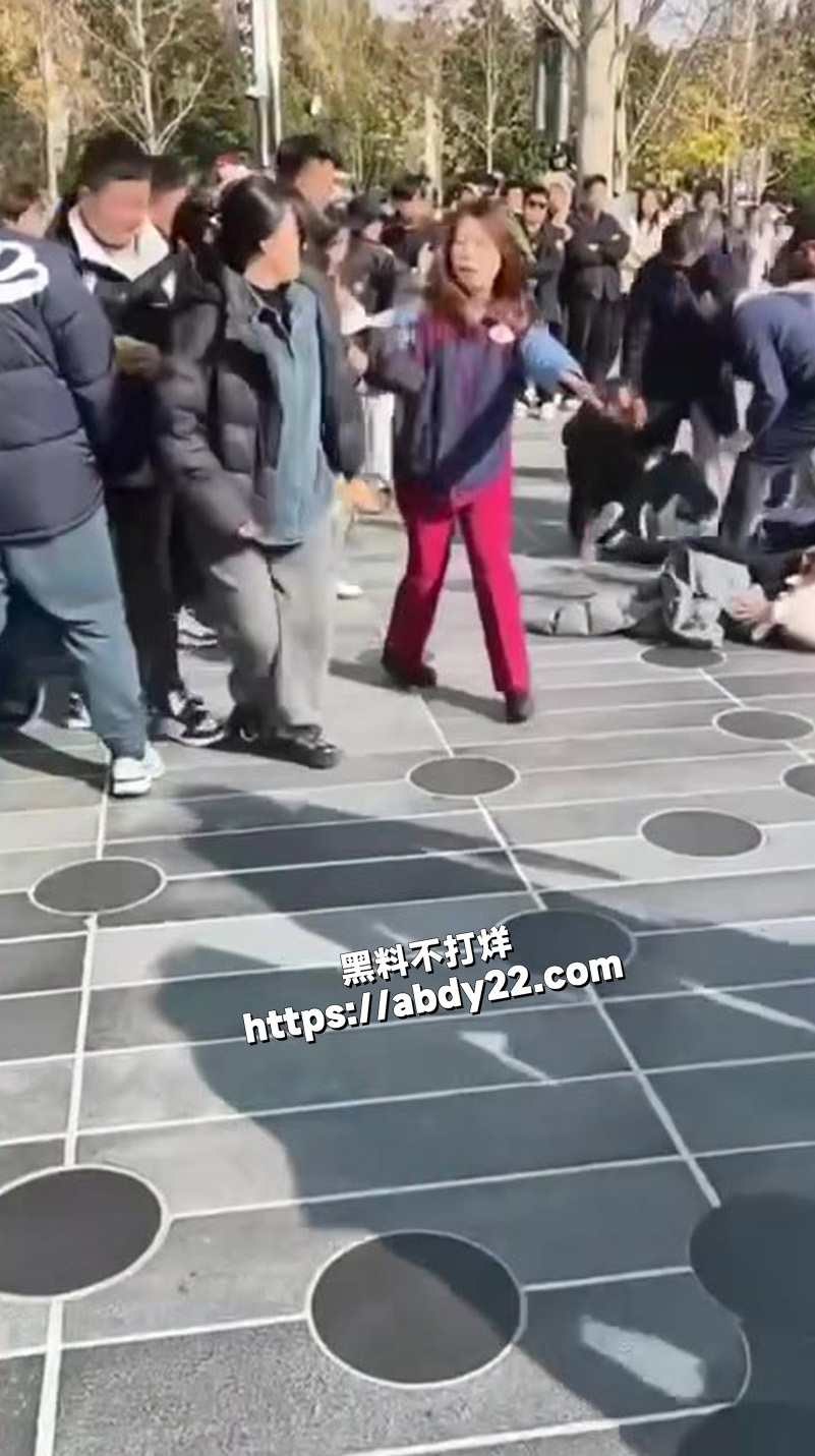 在上海迪士尼公园3