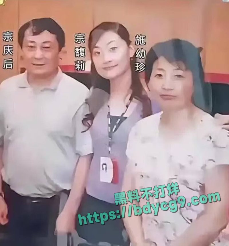 娃哈哈遗产争夺战6