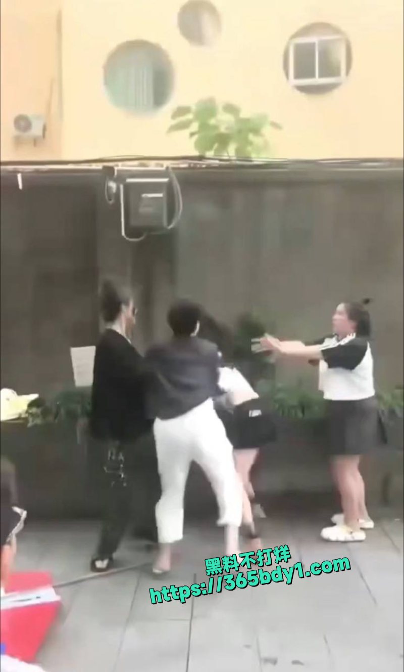 浙江嘉兴平湖滨水广场小三和原配撕起来了3