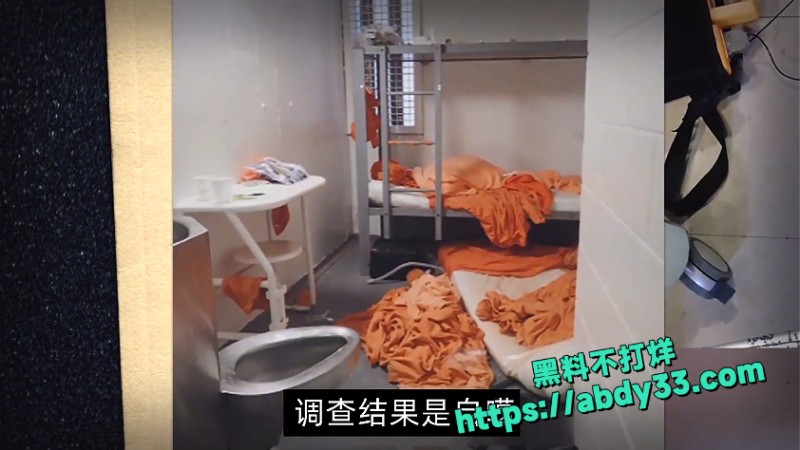 爱泼斯坦死亡谜团解开 30
