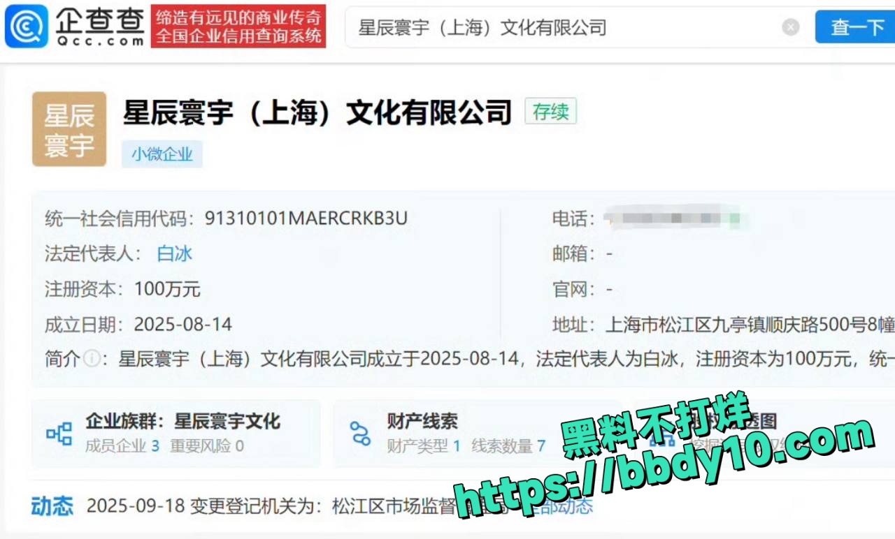 白冰资料7