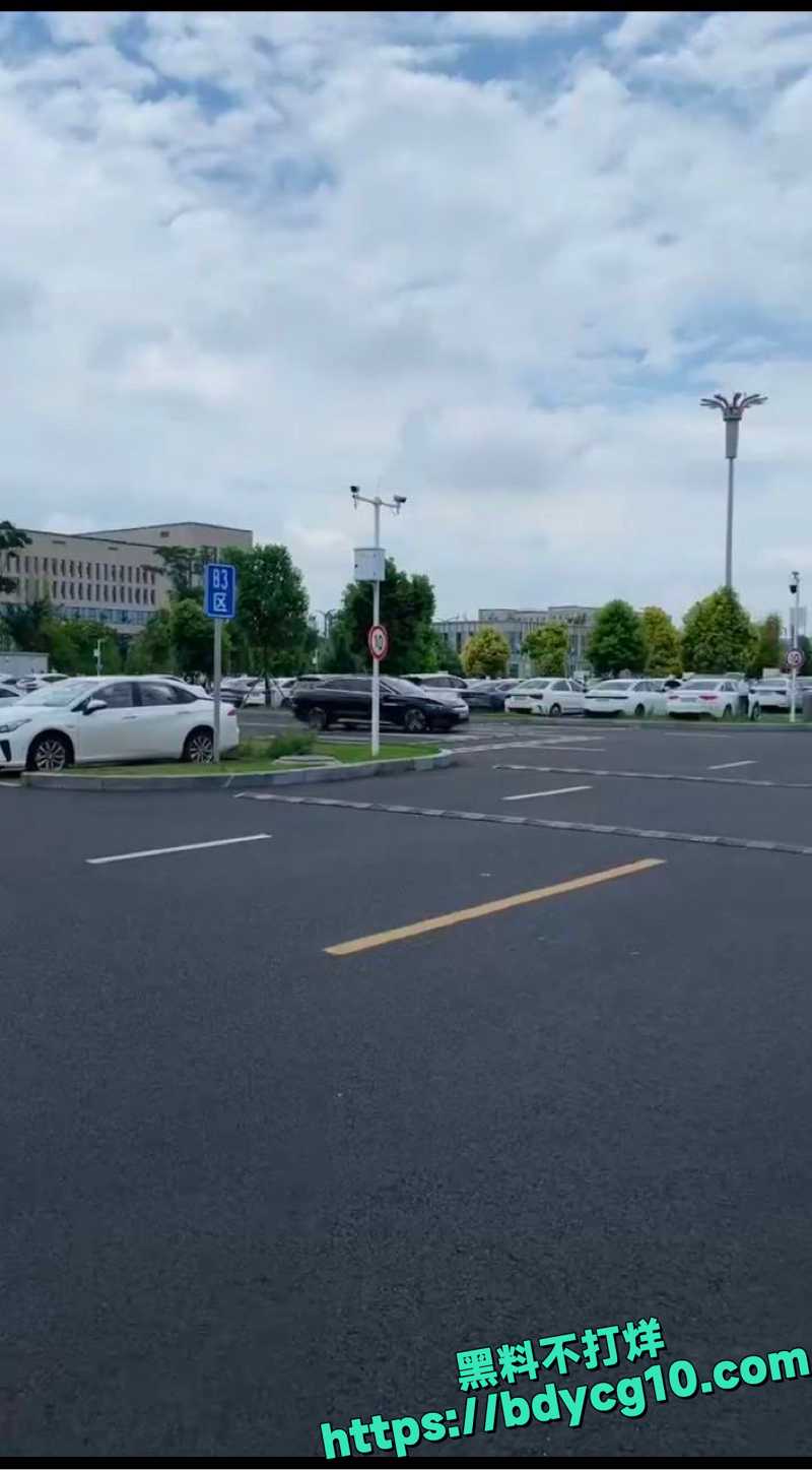 比亚迪汉疑似刹车失灵2