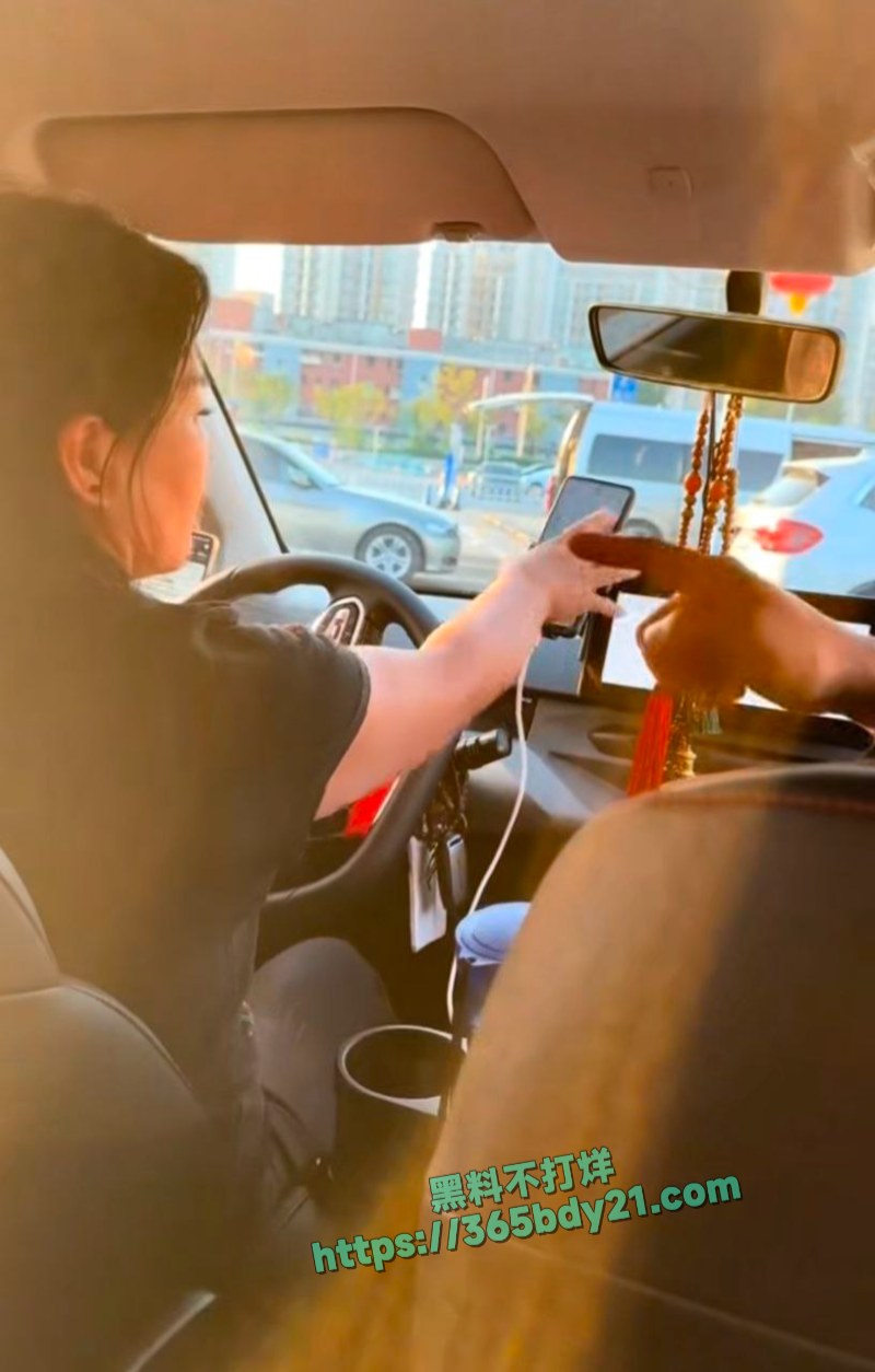 北京一环国际旅行社司机骂人扔行李 9