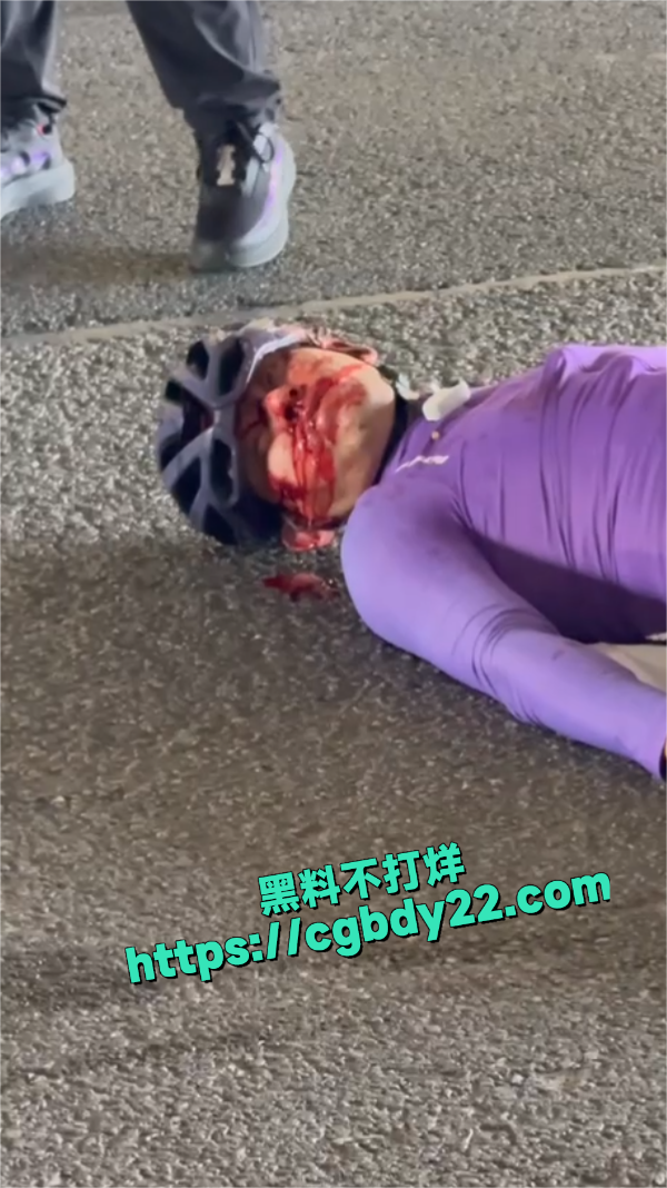 巢湖自行车4