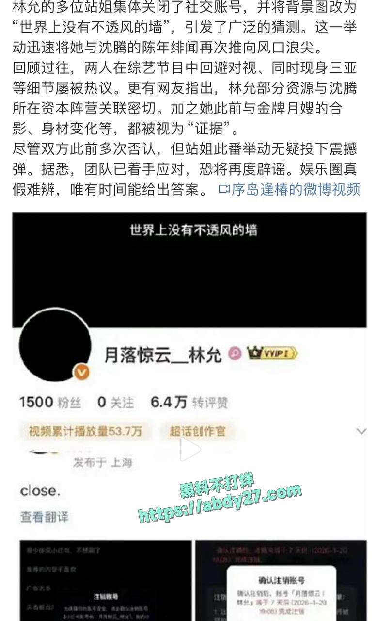 沈腾疑似出轨星女郎林允 7