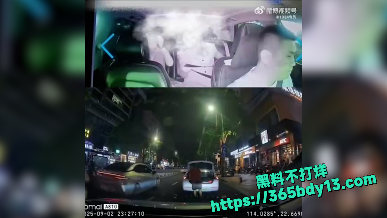 两女子欺骗路人手机丢失 9