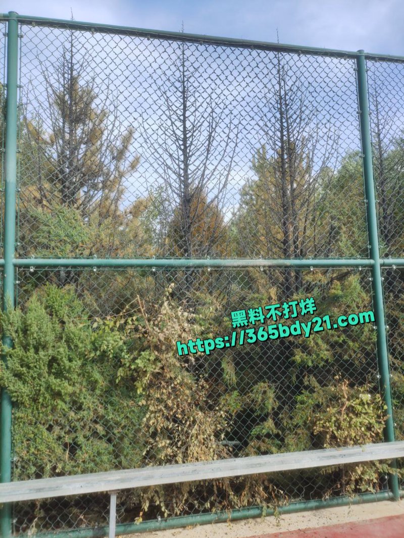 宁夏商贸职业学校大事件4
