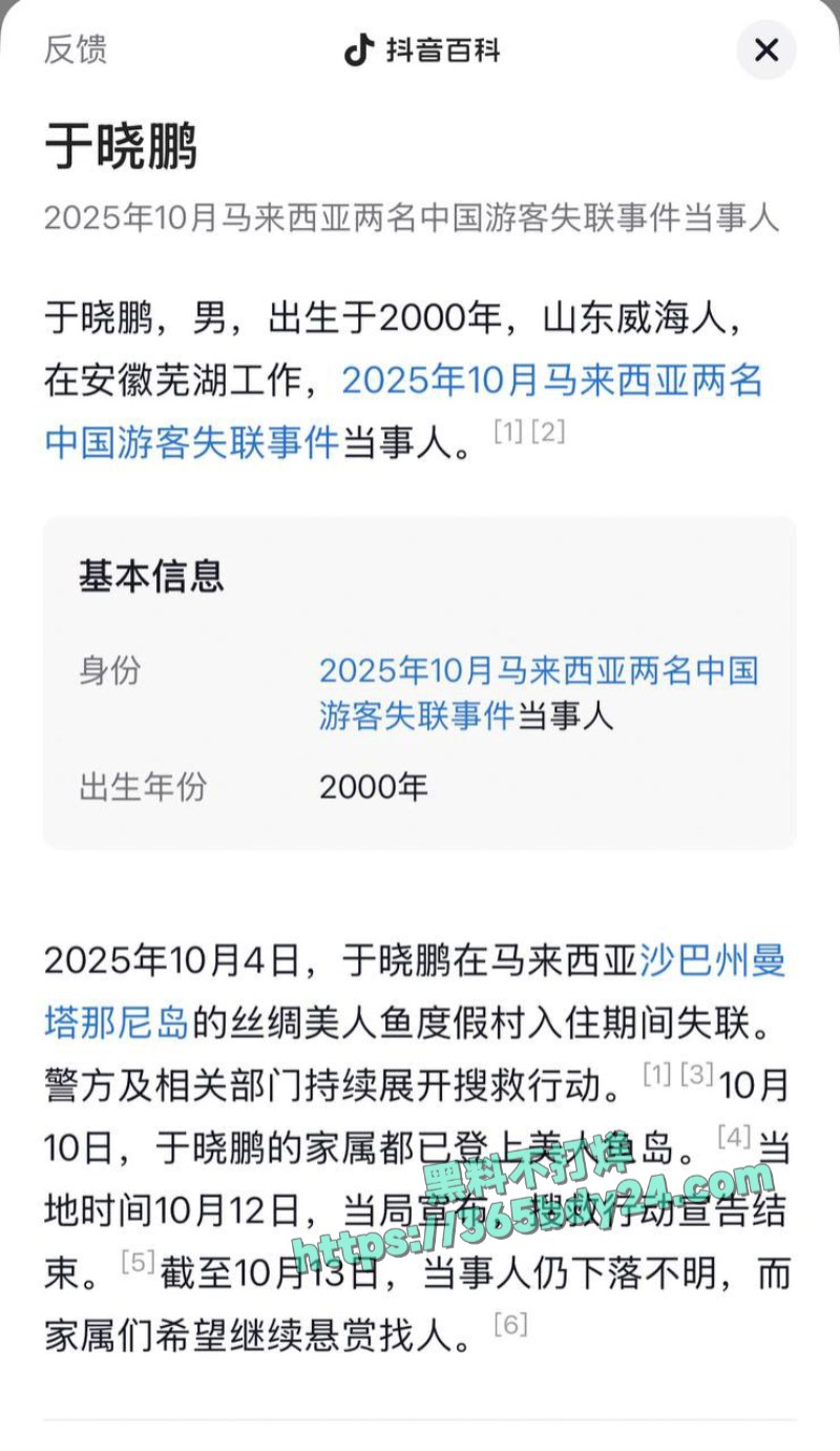 中国游客范琴于晓鹏马来西亚失踪 15
