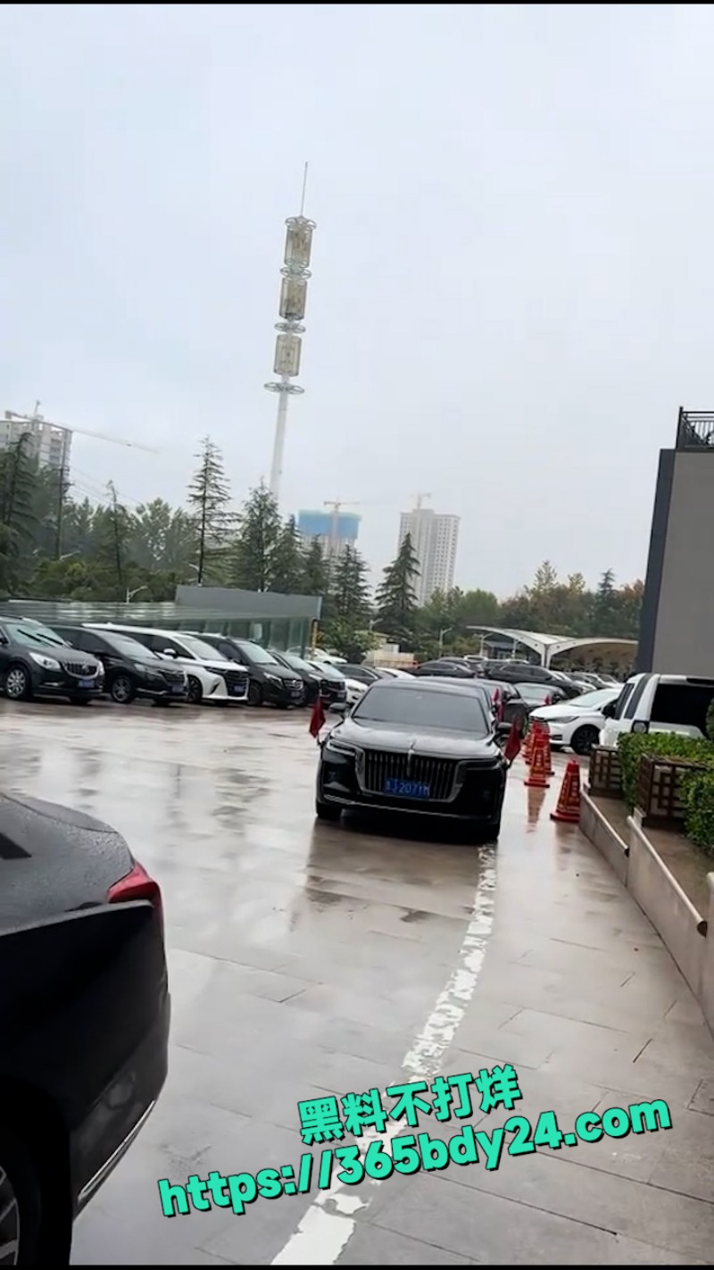 山东小伙娶美国新娘 3