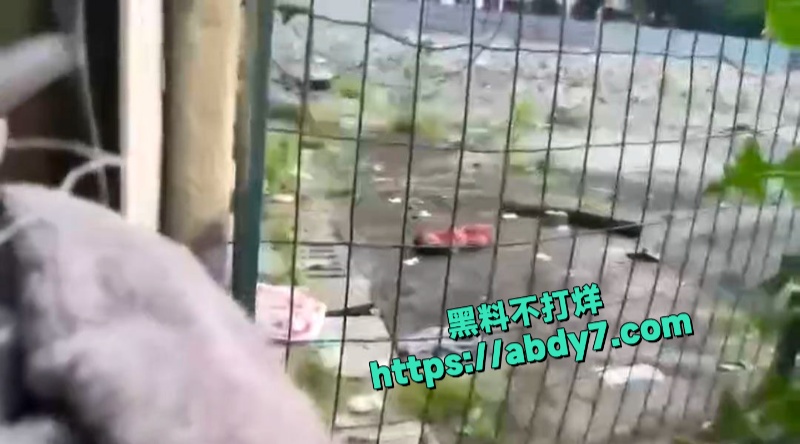 南京江宁高职6号楼5楼惊现弃婴 5