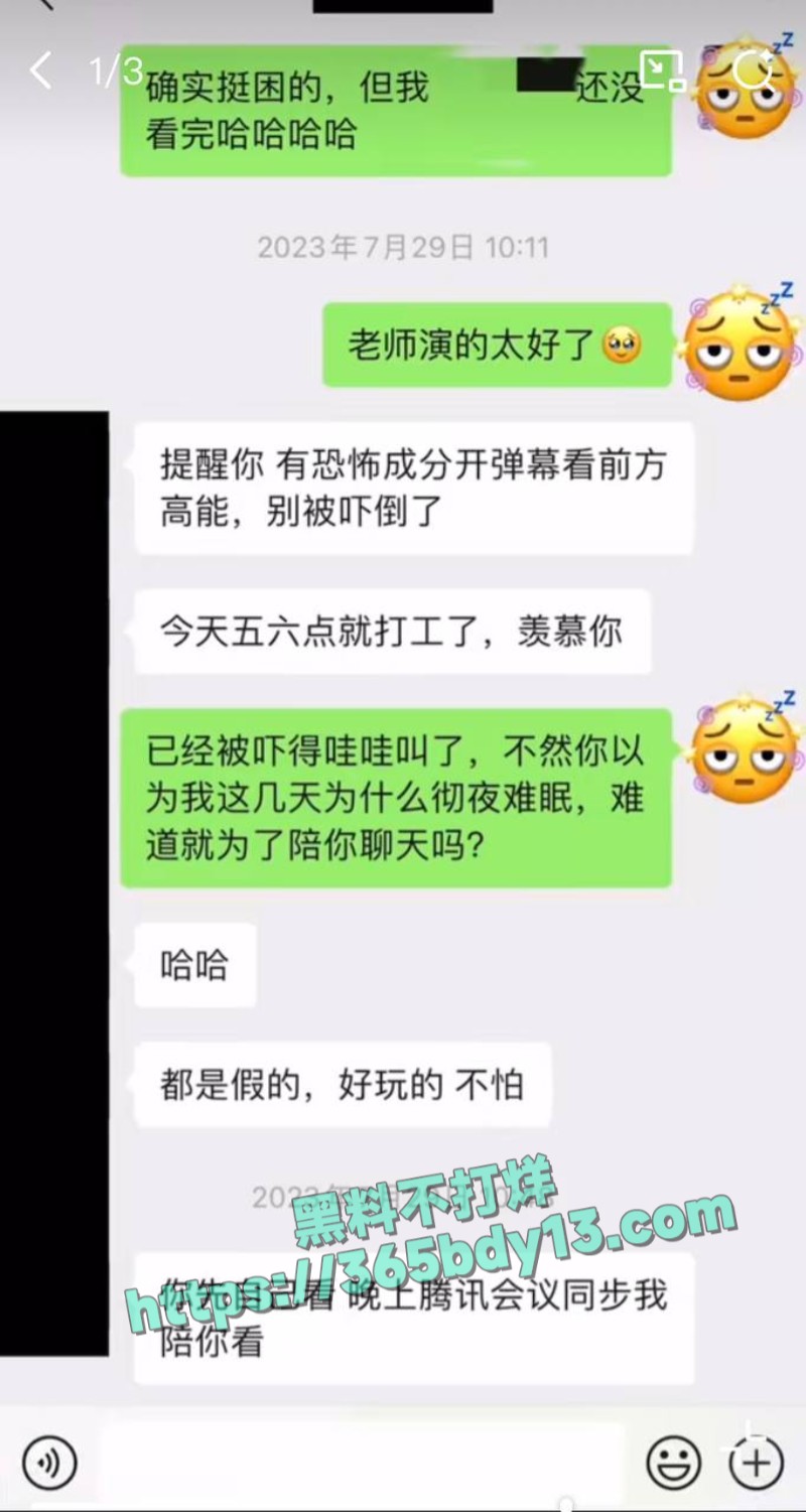 女网友与魏大勋聊天记录13