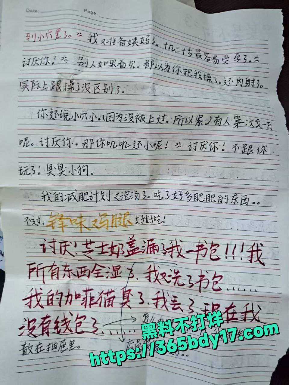 四川武侯高级中学学生 3