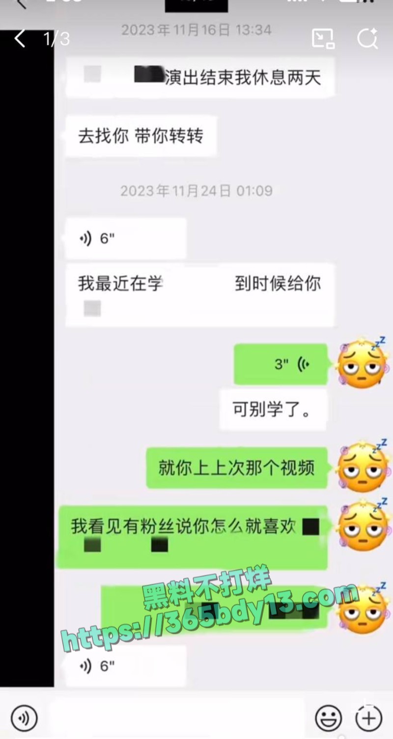 女网友与魏大勋聊天记录21