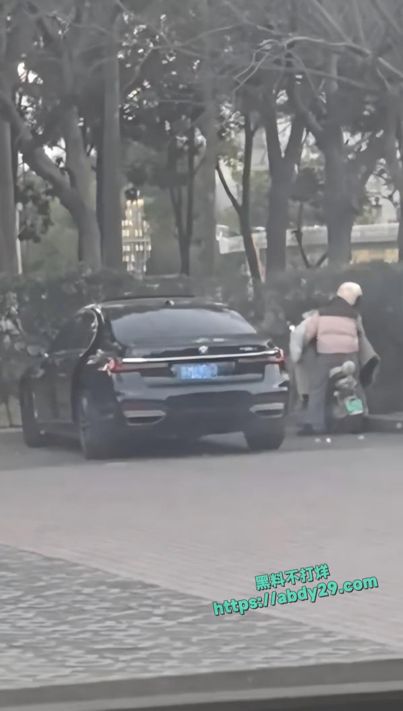 有钱人嫖娼直接玩车震8