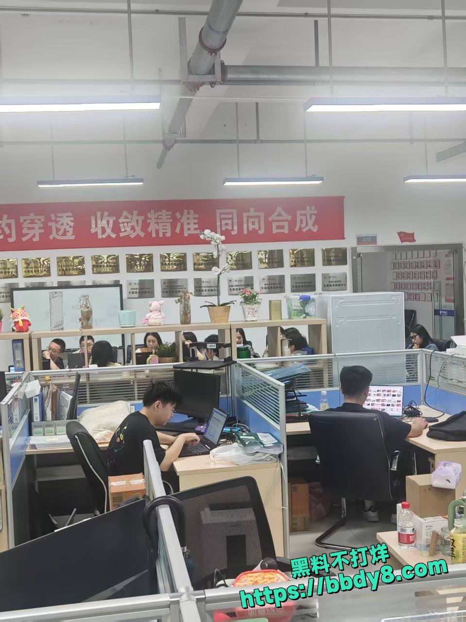 上班打飞机5